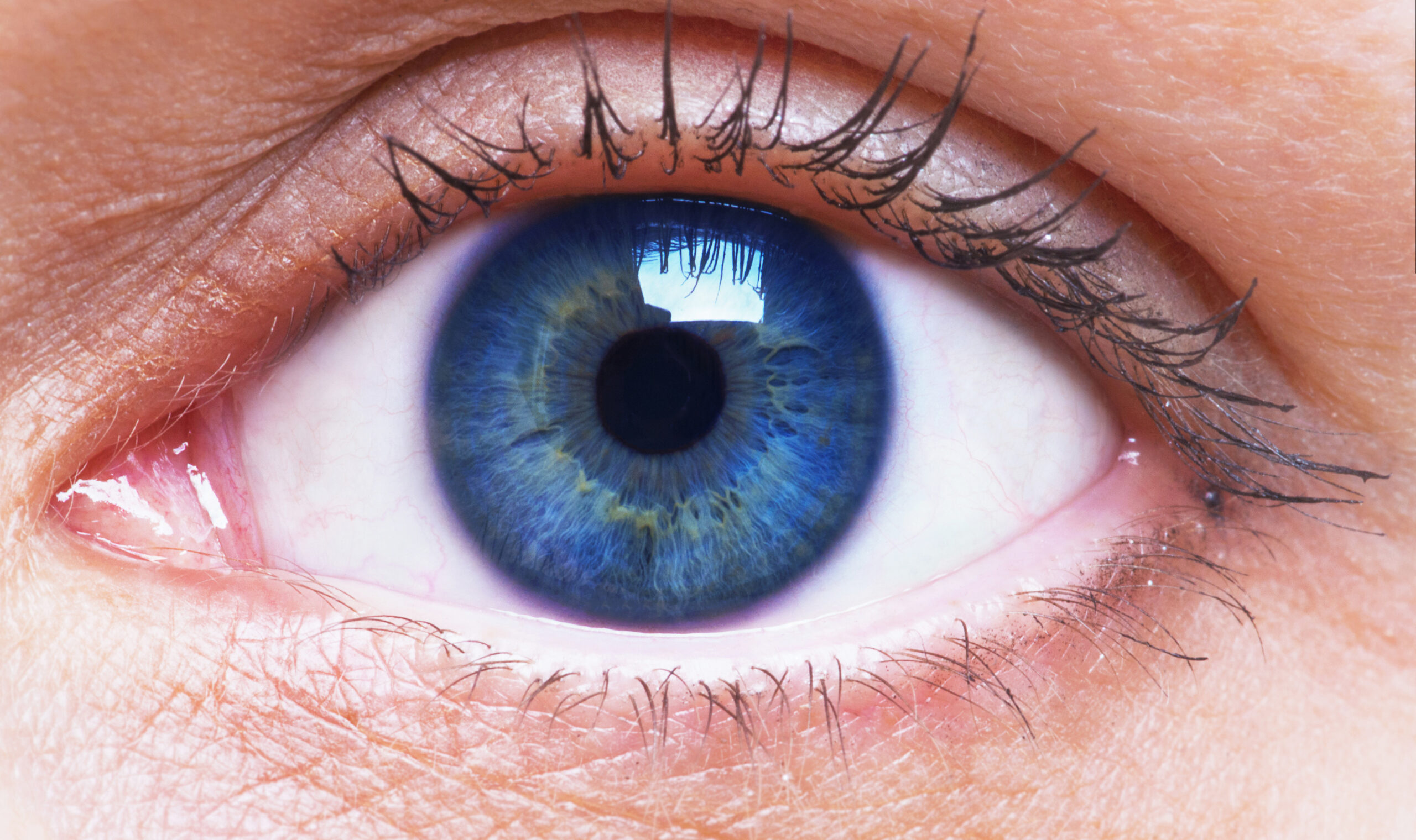 girl’s blue eye close up